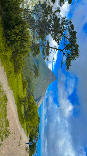 Photo from customer review