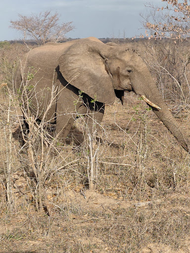 Photo from customer review