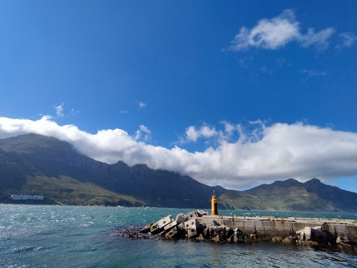 Photo from customer review