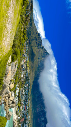 Photo from customer review