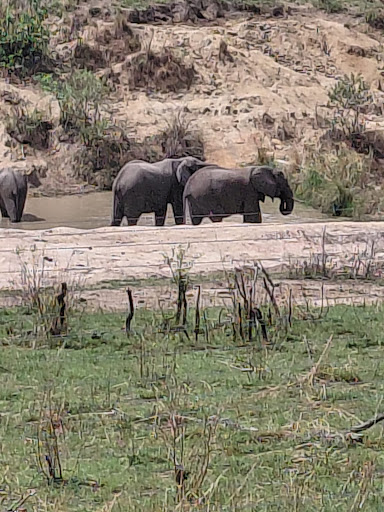 Photo from customer review